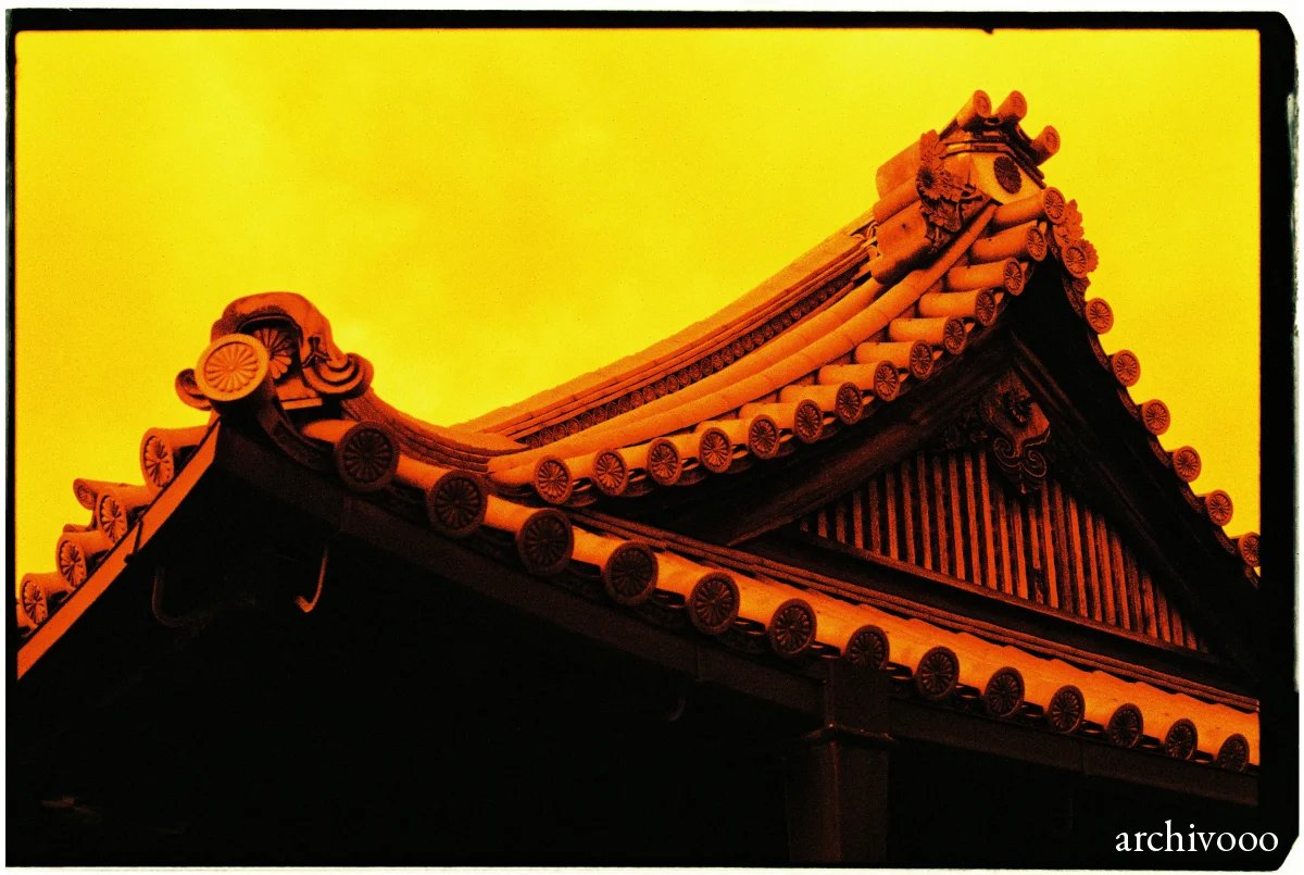 Redscale Kyoto 04