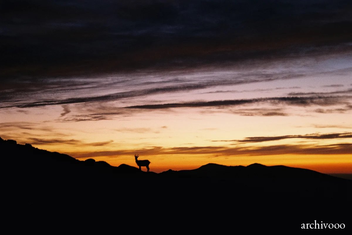 Sunset in La Maliciosa