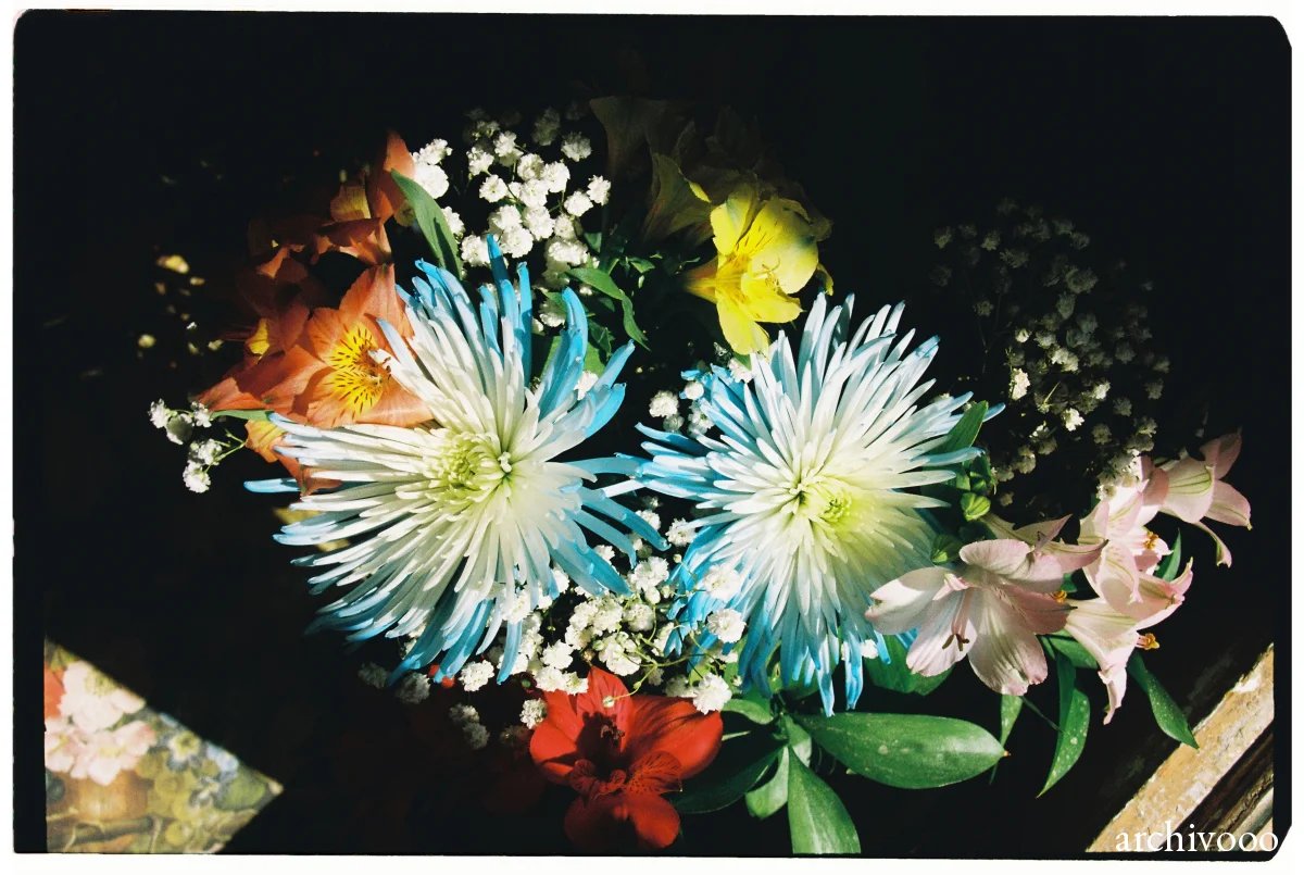Sunny Bouquets, Vol. III