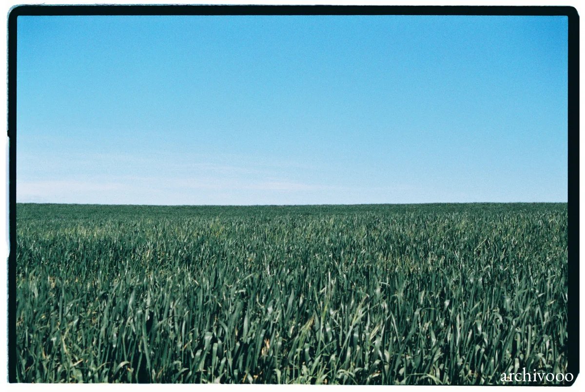 Bárdenas Reales