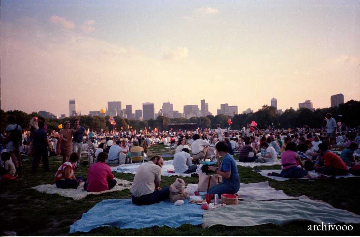 Picnic in Central Park