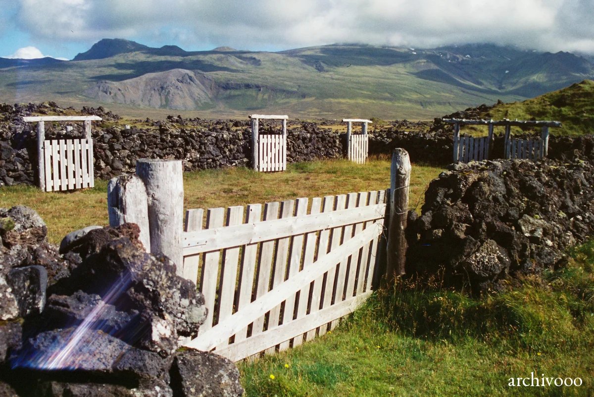 Fence
